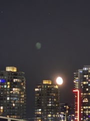 Come and tell us your dull and unexciting news 34: Calmly through the day