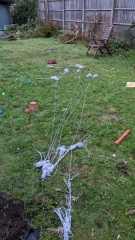 Puppy survival thread! All welcome!