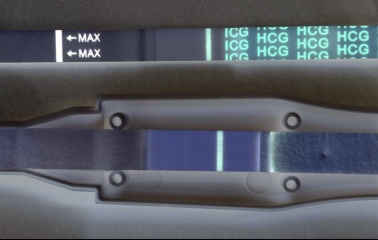 TTC TWW August/September 2025