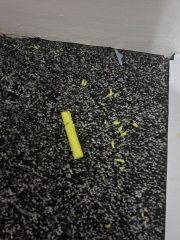 Mice house situation ongoing