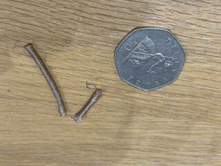 Cat eaten half an elastic hair tie?