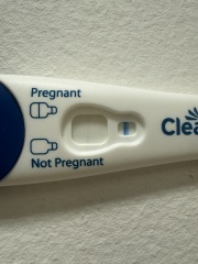 Clear blue test. Evap line or positive