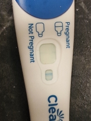 Clear blue test. Evap line or positive