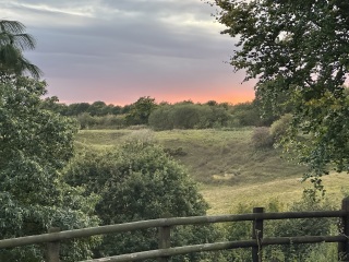 Year round Nigel Slater discussion thread Part 2