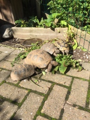 January Starters - Thread 11!