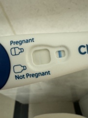 Clear blue test. Evap line or positive