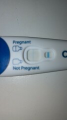 Am I pregnant or is it evap?