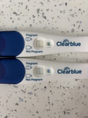 Positive pregnancy test?