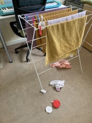 Chicken, Dreamies and Lickelix - the Excellent Cats form a disorderly queue