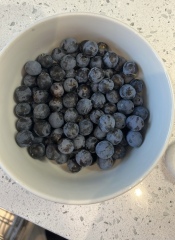 Sloes? What to with these?