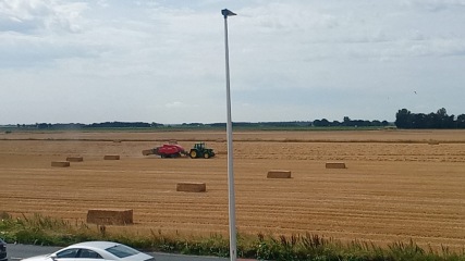 Labour isn't working - Thread 7