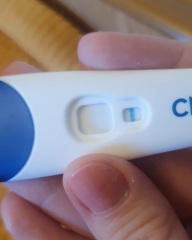 Clear blue test. Evap line or positive