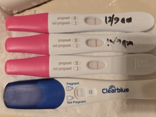 Is the line progressing okay? Making myself crazy