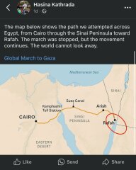 Palestine Action protests