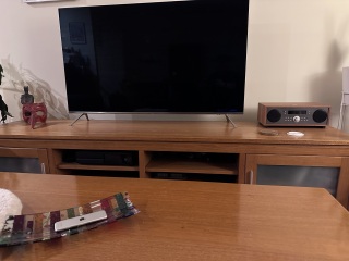 Chicken, Dreamies and Lickelix - the Excellent Cats form a disorderly queue