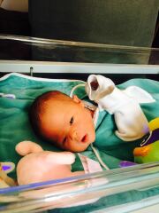 High Risk for Down’s, Edward’s and Patau’s