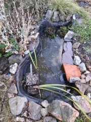 Pond clear-out