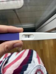 TTC TWW August/September 2025