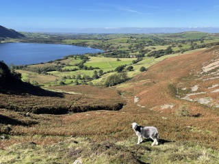 Come chat hiking with me!