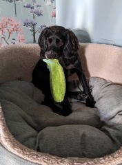 Our Cosmic Autumn Rebellion (Adolescent Support Group)