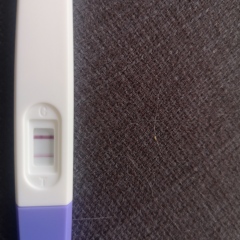 Is this a good result 12 days post transfer