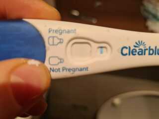 TTC TWW August/September 2025