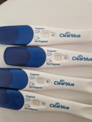 Evap lines or pregnant?