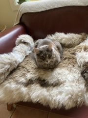 I think I’ve just figured out how the world ends…