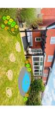 Help with new small garden please