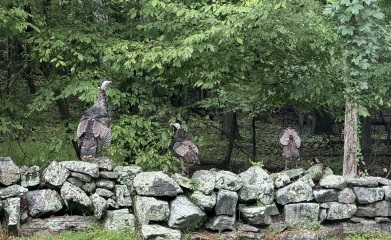 Come and tell us your dull and unexciting news 34: Calmly through the day