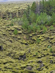 Come chat hiking with me!