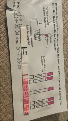 Day 2 of missed period