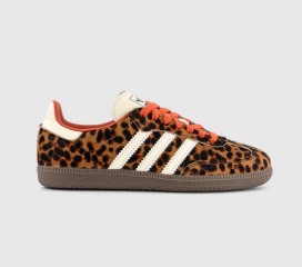 Which trainers shall I buy?