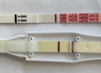 TTC TWW August/September 2025