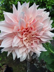 Year round Nigel Slater discussion thread Part 2