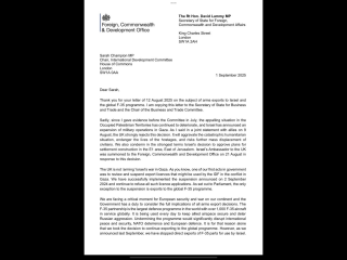 Israel committing genocide in Gaza, world’s top scholars on the crime say