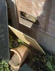 AIBU to stop next doors sick cat coming into my garden?