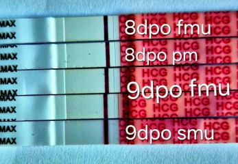 Anyone just started their dreaded 2WW ? 👀👋🏼