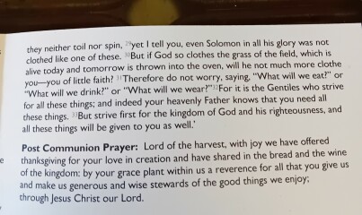 Sharing Sunday services