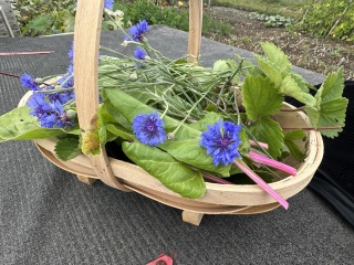 Year round Nigel Slater discussion thread Part 2