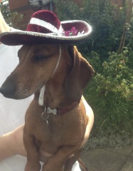 January Starters - Thread 11!