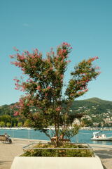 To turn my holiday photos into a coffee table book for myself?
