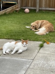 Talk some sense into me