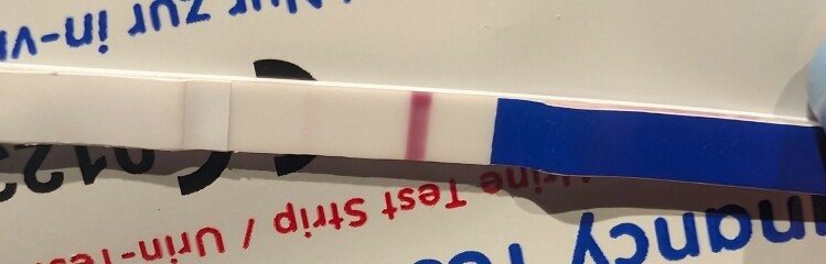 Unsure about progression 15DPO