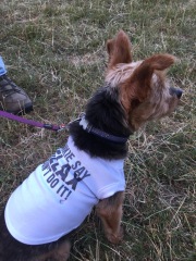 January Starters - Thread 11!