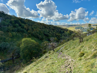 Thread 18 - TalkLair: "That's no moon. It's a space station!"