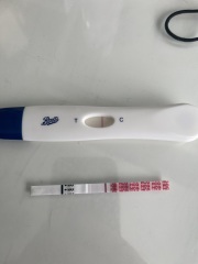 IVF 7dp5dt progression ?