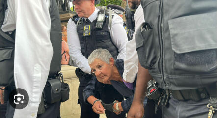 Why are people allowed to in cite racial hatred when little old ladies are being arrested for supporting an end to war and killing innocent chidren?