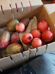 Mounjaro/Wegovy with >5 stone/30kg to lose - thread 10!