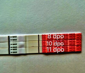 Anyone just started their dreaded 2WW ? 👀👋🏼